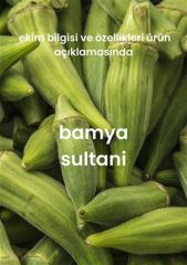 Yeşillik Tohumları 13 Çeşit