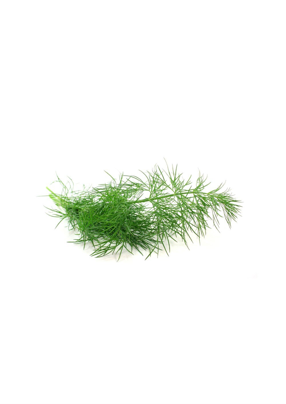 Dere Otu Tohumu 10 gr