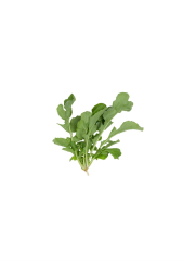 Roka Tohumu 10 gr