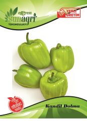 Kandil Dolma Biber Tohumu 5 gr