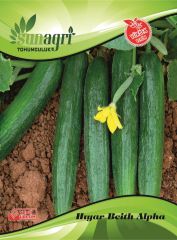 Beith Alpha Salatalık Tohumu 5 gr