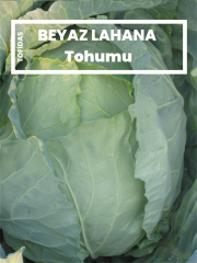 Lahana Tohumu 5 gr