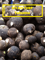 Siyah Turp Tohumu 10 gr