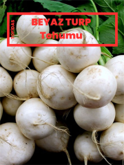 Beyaz Turp Tohumu 10 gr