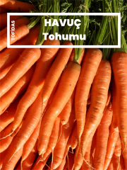 Havuç Tohumu 5 gr