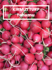Kırmızı Turp Tohumu 10 gr
