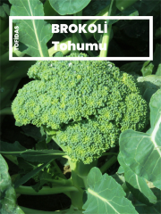 Brokoli Tohumu 105 adet