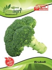 Brokoli Tohumu 105 adet