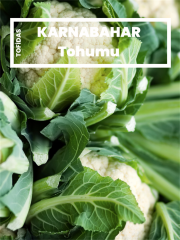 Karnabahar Tohumu 105 adet