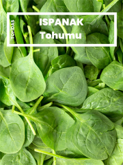Ispanak Tohumu 10 gr