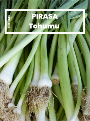 Pırasa Tohumu 5 gr