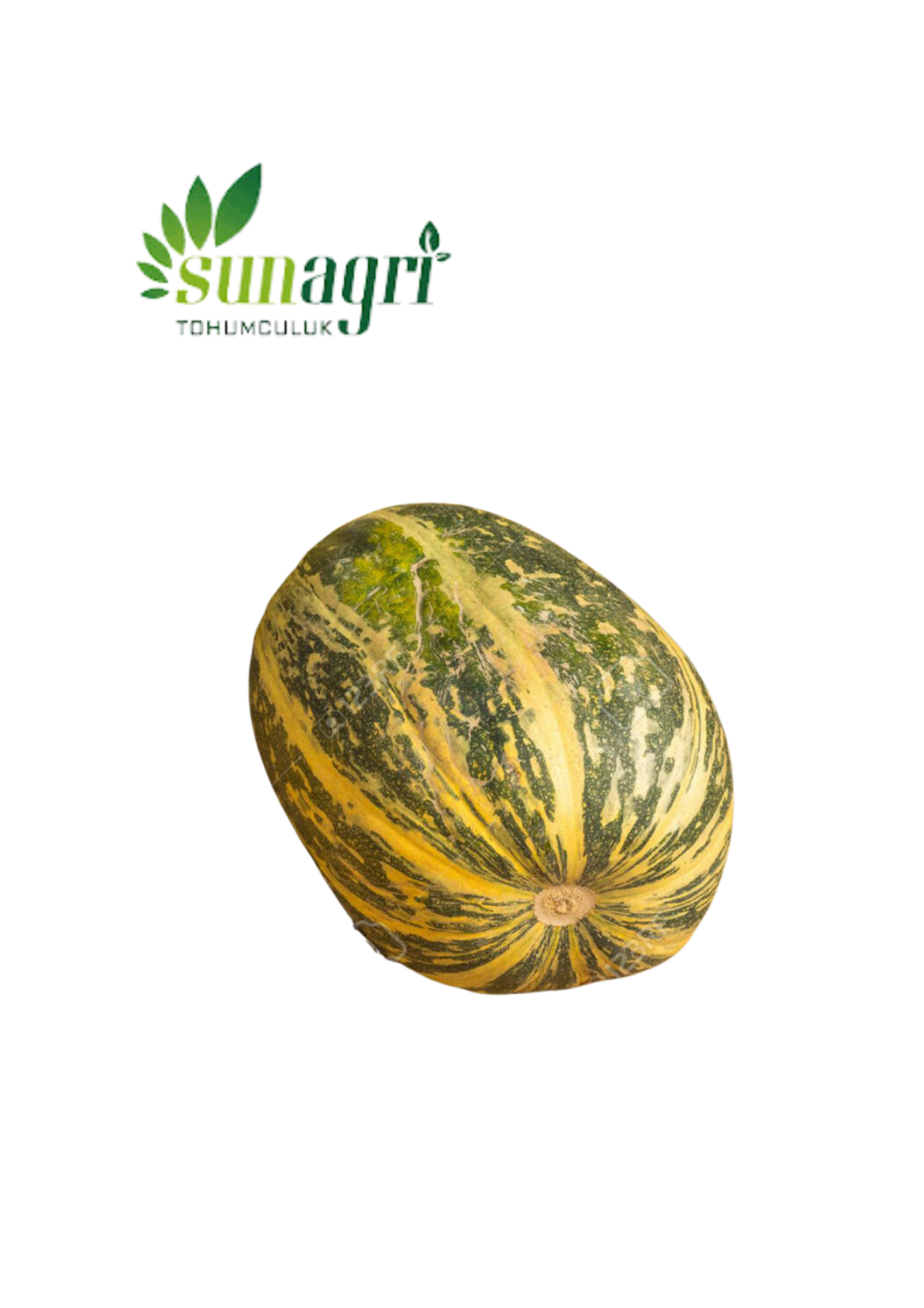 Kırkağaç Kavun (637 Altınbaş) 5 gr