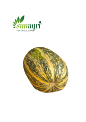 Kırkağaç Kavun (637 Altınbaş) 5 gr