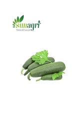 Siyah Kabak Tohumu 10 g