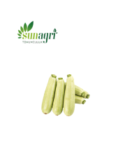 Sakız Kabak Tohumu 10 g