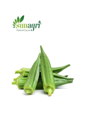 Bamya Sultani Çeşidi 10 gr