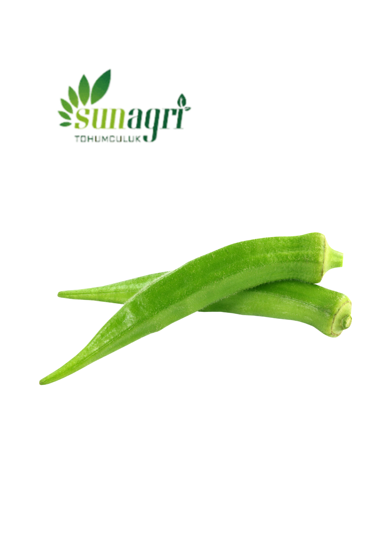 Bamya Sultani Çeşidi 10 gr
