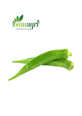 Bamya Sultani Çeşidi 10 gr
