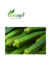 Bamya Sultani Çeşidi 10 gr