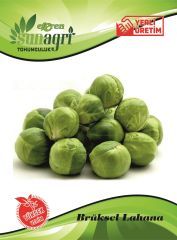 Bürüksel Lahanası 105 adet