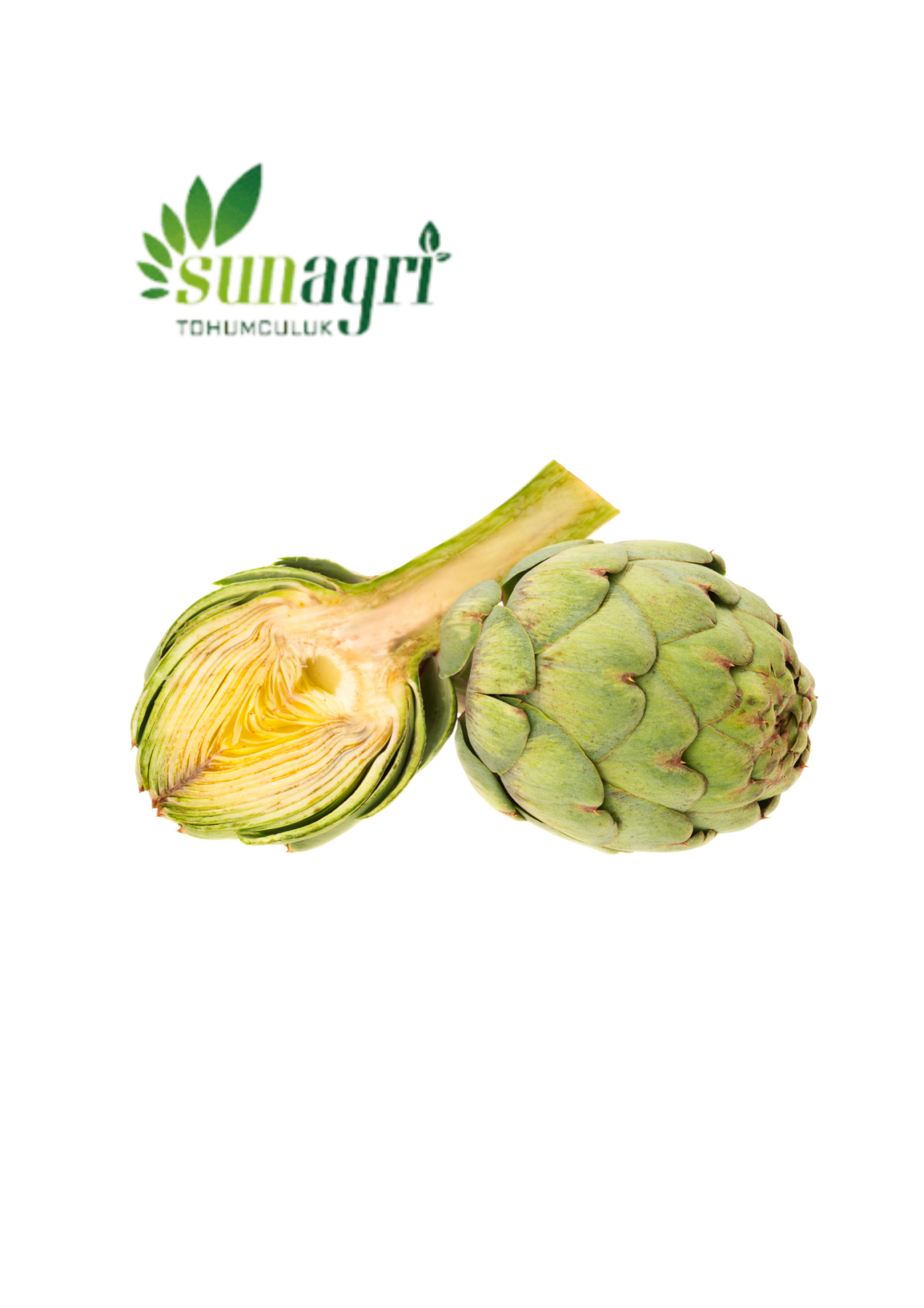 Enginar Tohumu 20 adet