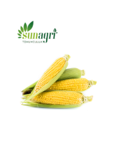 Süt Mısır Tohumu 10 gr