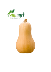 Su kabağı Tohumu