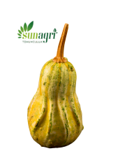 Süs Kabağı Tohumu