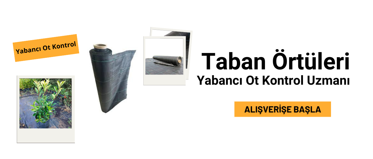 taban örtüsü